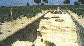 Part of the defensive ditch of Troy VI, revealed by excavations based on magnetometer readings
